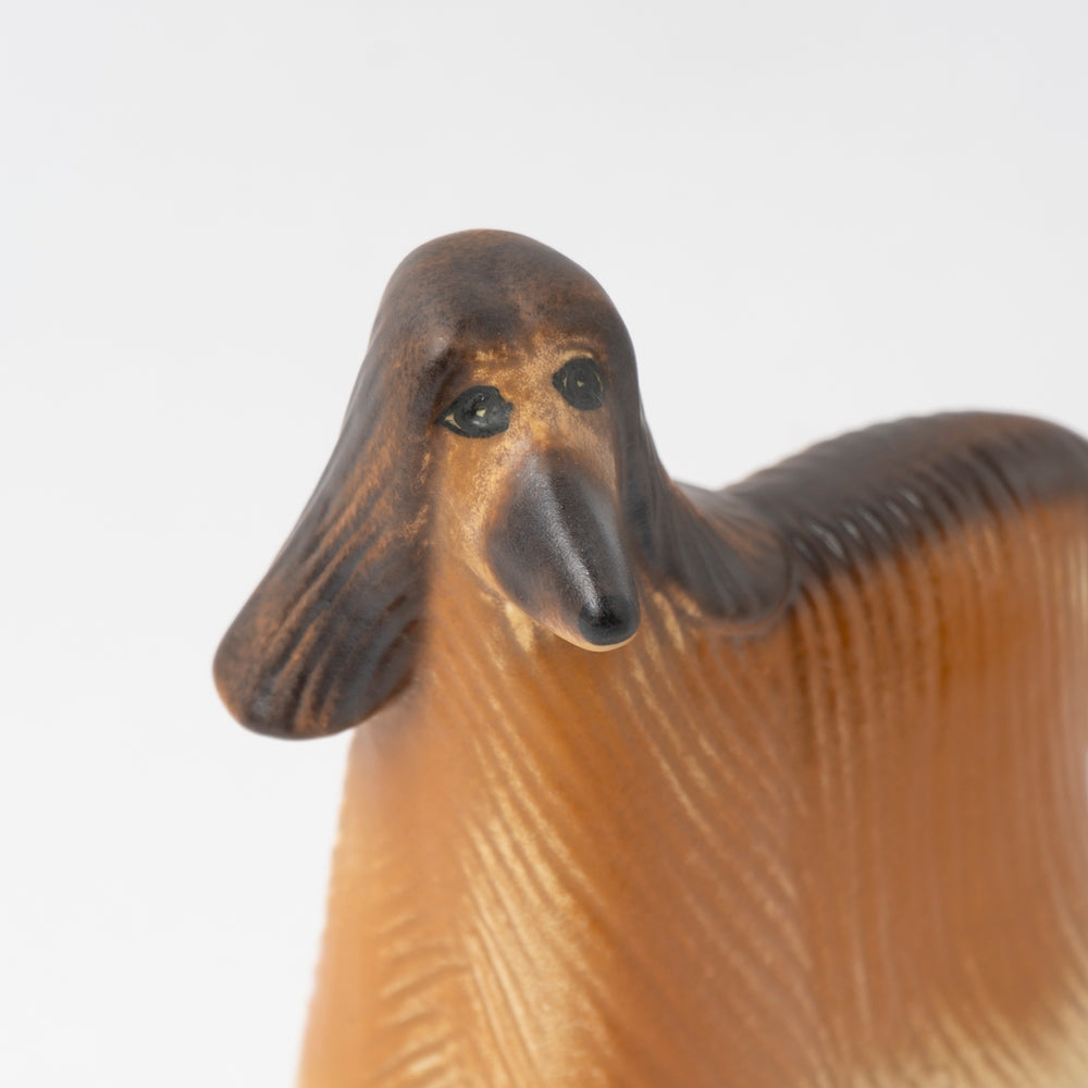 アフガン犬