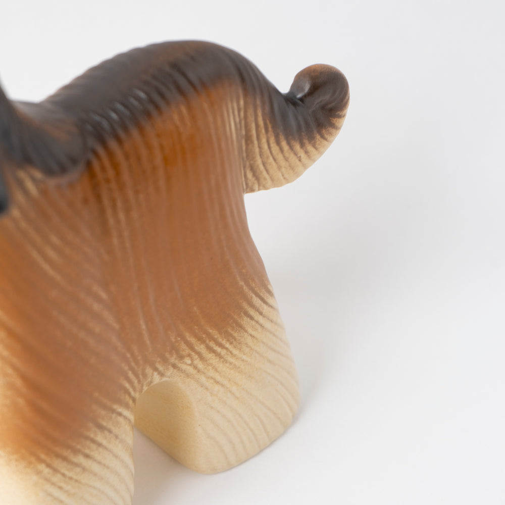 アフガン犬
