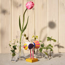 鳥類1967年，第01號