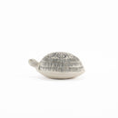 Skoldpaddor Turtle（Turtle）