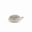 Skoldpaddor Turtle（Turtle）