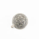 Skoldpaddor Turtle（Turtle）