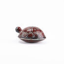 SKOLDPADDOR Turtle Pink(カメ)