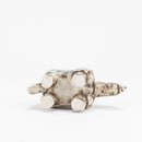 JURA Varan（オオトカゲ）