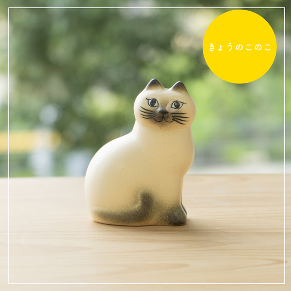 マンズ ミニ ホワイトグレー （きょうのこのこ）