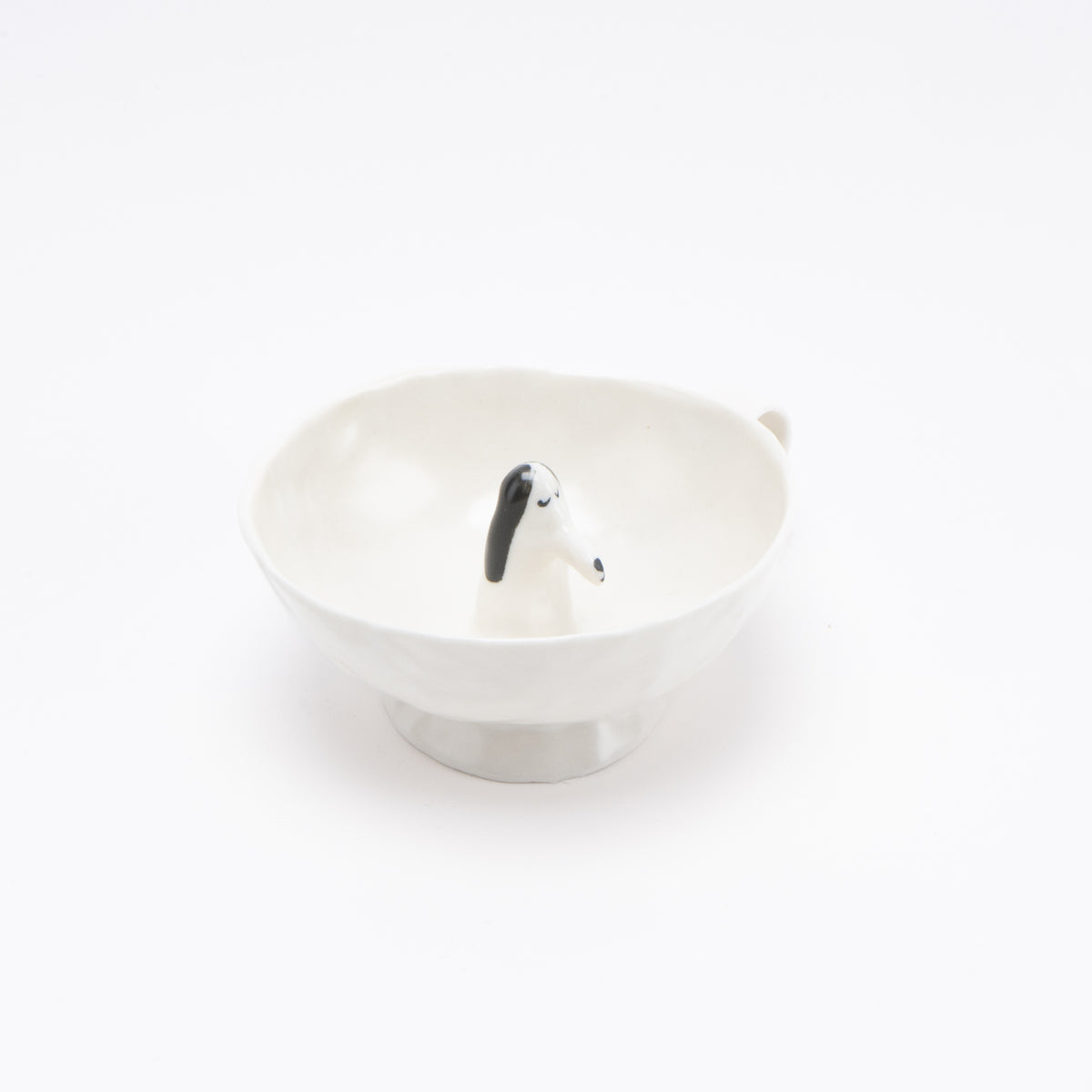 Web1920_8_1200x.jpg?v=1755025884