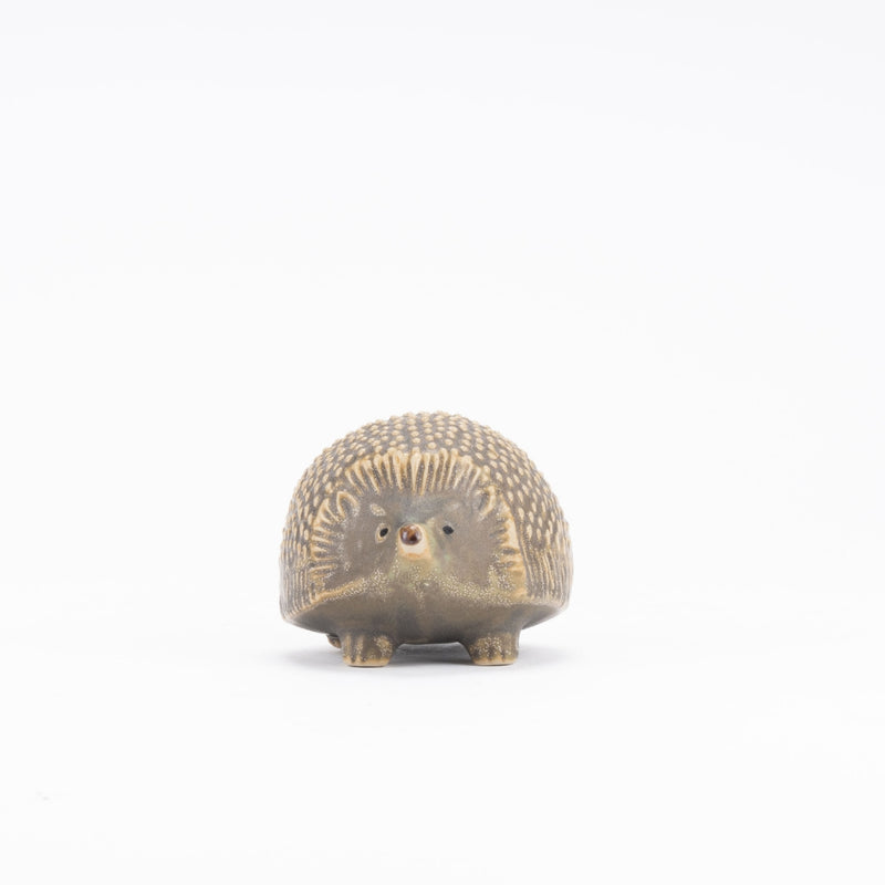 JIE Hedgehog