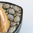 fiskare ibåt（船上的菲斯赫曼）黃色