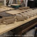 日本的丽莎猫（五号、丹波）雾白