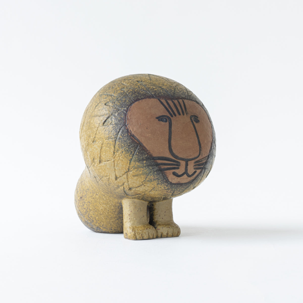 AFRICA LION