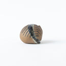 莉拉動物園貓說謊