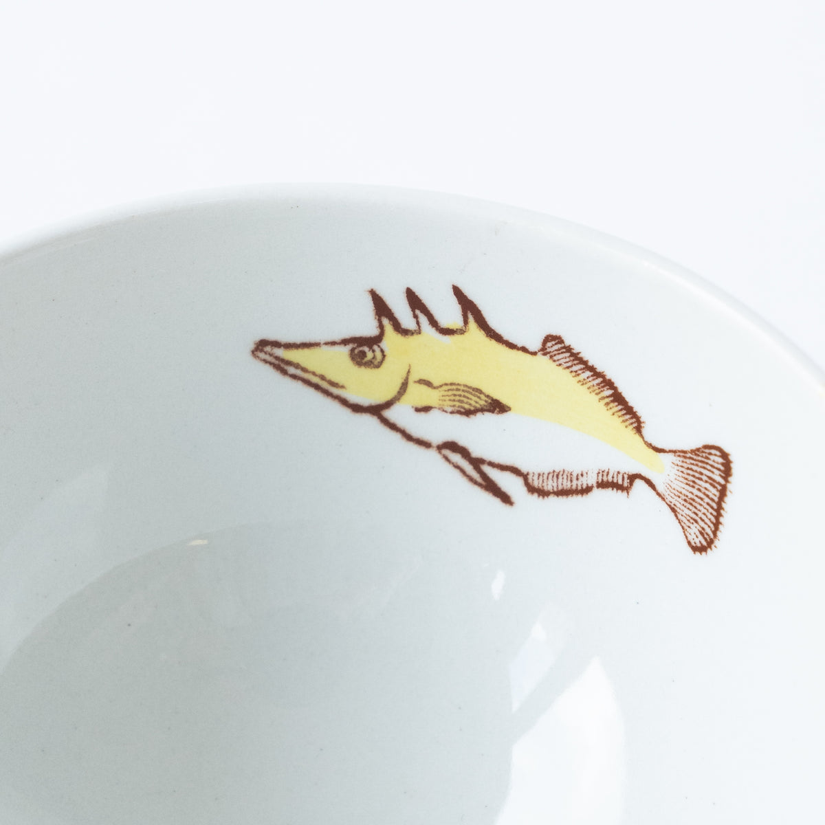 フジタチサト　海の生物デザイン陶器カップ スナ・フジタ 「いきもの陶器展 」 | Shoka: