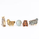 UnseenAnimals（5组）