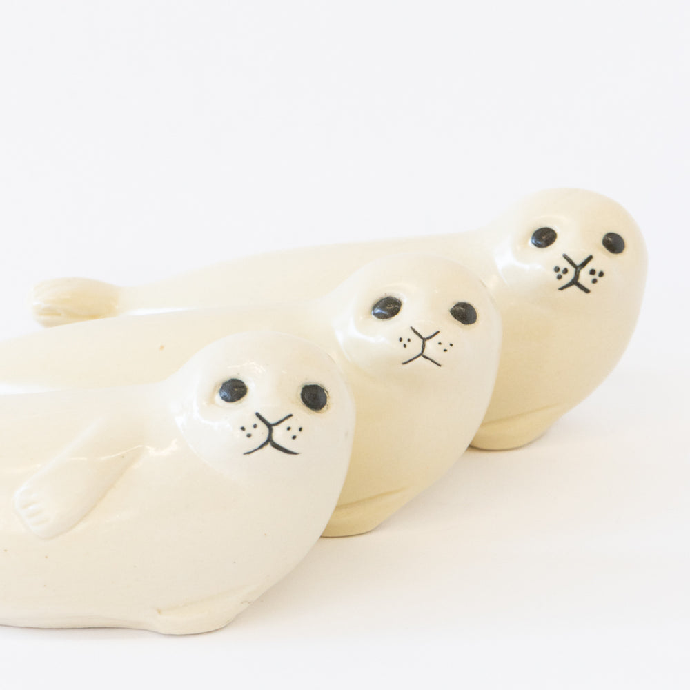 アザラシ ミディアム