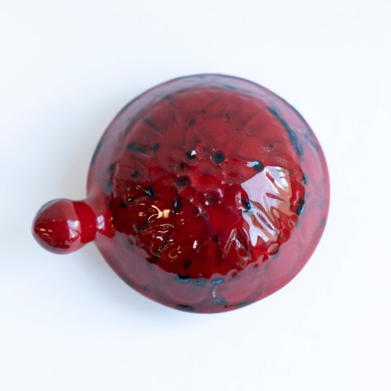 SKOLDPADDOR Turtle Pink(カメ)