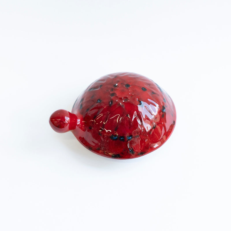 SKOLDPADDOR Turtle Pink(カメ)