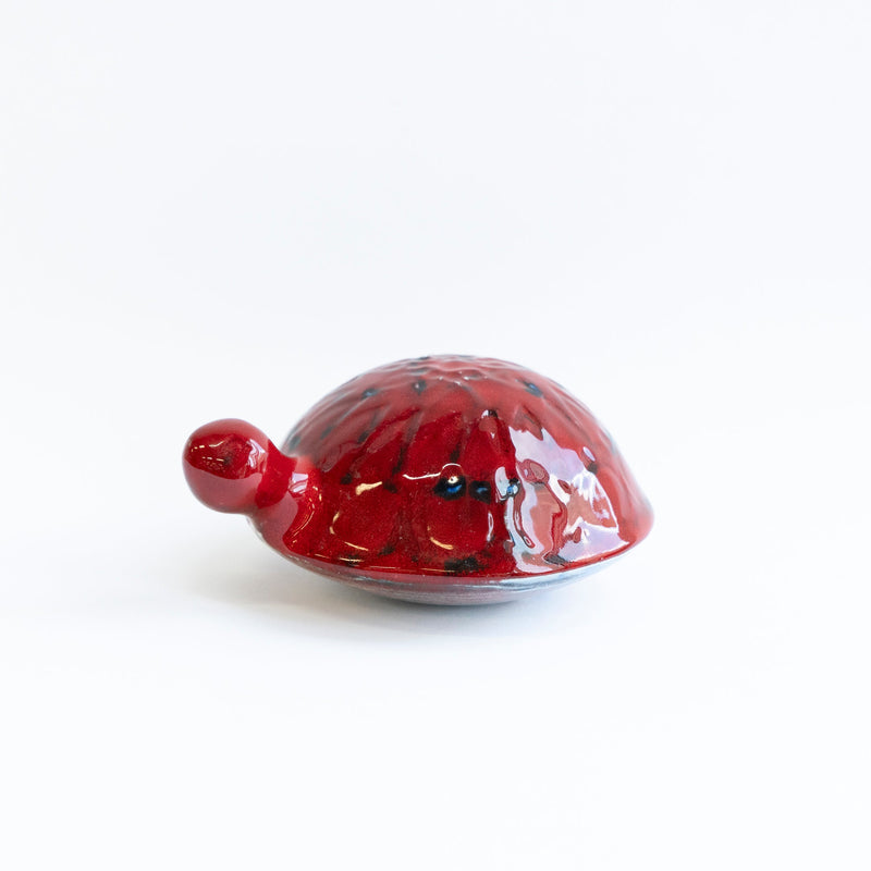 SKOLDPADDOR Turtle Pink(カメ)