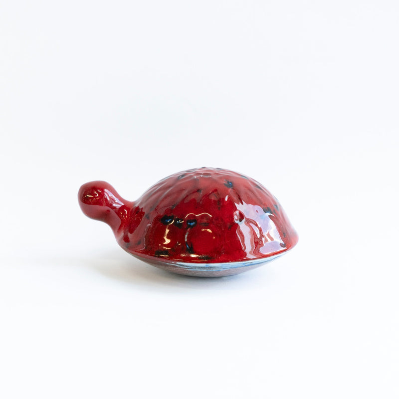 SKOLDPADDOR Turtle Pink(カメ)