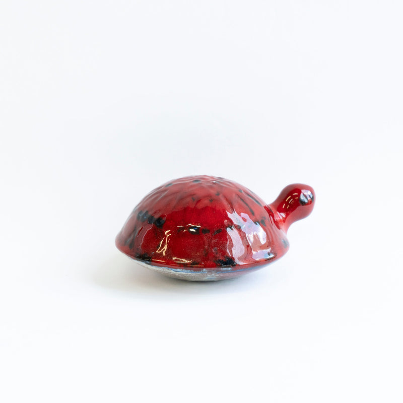 SKOLDPADDOR Turtle Pink(カメ)