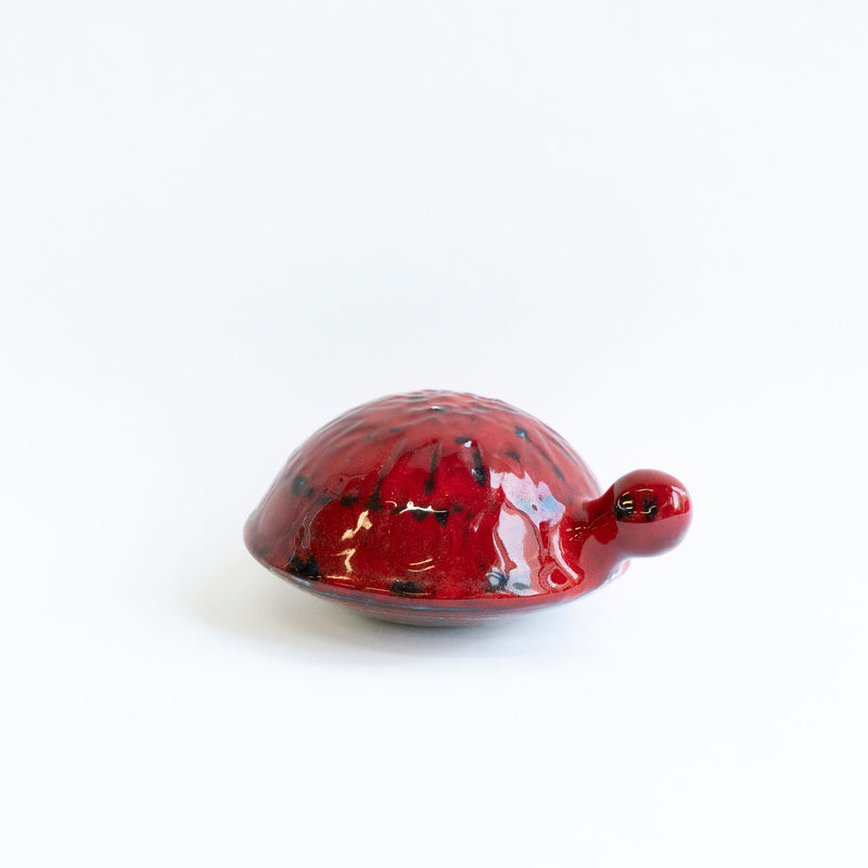 SKOLDPADDOR Turtle Pink(カメ)