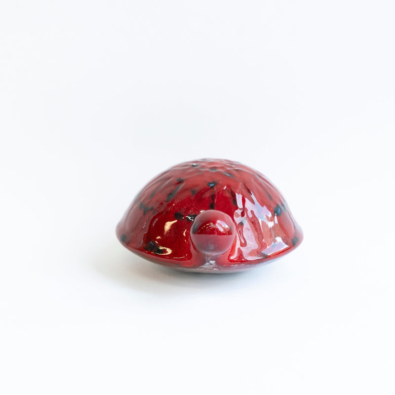 SKOLDPADDOR Turtle Pink(カメ)