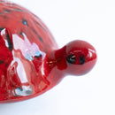 Skoldpaddor Turtle Blue（海龜）