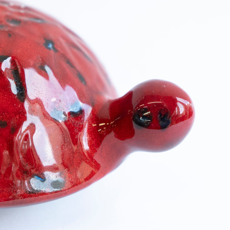 SKOLDPADDOR Turtle Pink(カメ)