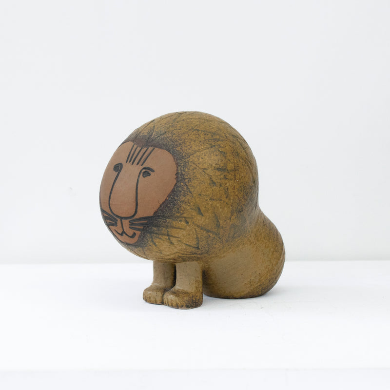 AFRICA LION