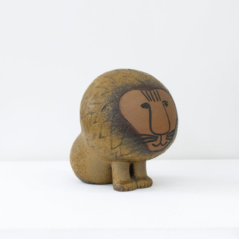 AFRICA LION