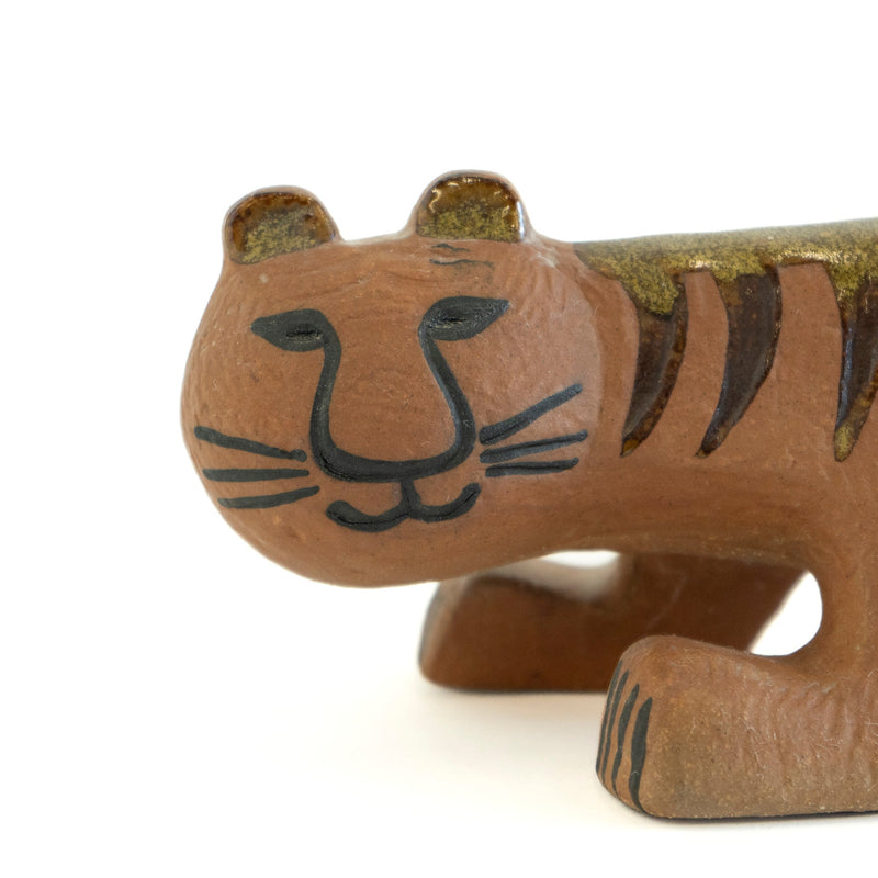 AFRICA TIGER