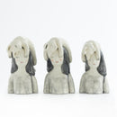 A cat on my head NO.01