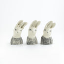 Rabbit in the wind NO.03