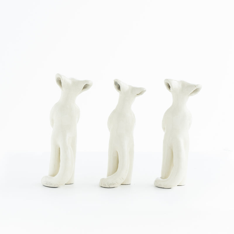 White fox standing NO.03