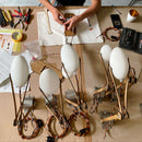 Standlight like a pilaf grain