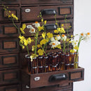 四月花瓶（生薑）