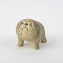 牛狗培養基（灰色）