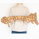 豹子的Lenny Leopard