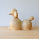 貴賓犬培養基（棕色）