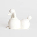 貴賓犬培養基（白色）