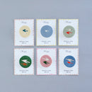 布魯（Tori / Green）