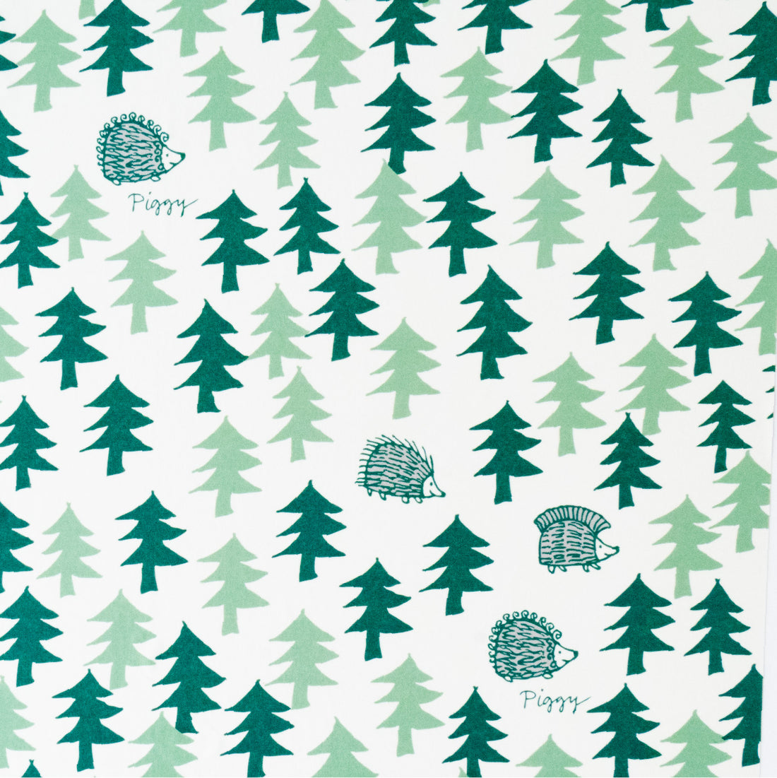 2_000000004827_1100x.jpg?v=