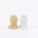 月球貓（鹽和胡椒）