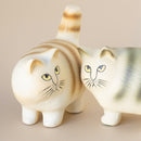 更多（棕色條紋）