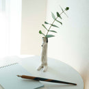 花瓶（狗命名）