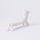 花瓶（狗戴軌道）