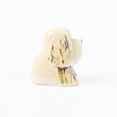 狗窩西班牙獵犬懷特