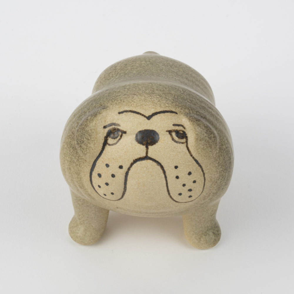 ブルドッグ ミディアム（グレー）