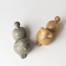 貴賓犬培養基（棕色）