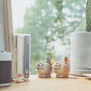 Minizu 2020 More (gray)