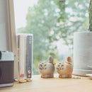 Minizu 2020多（棕色）